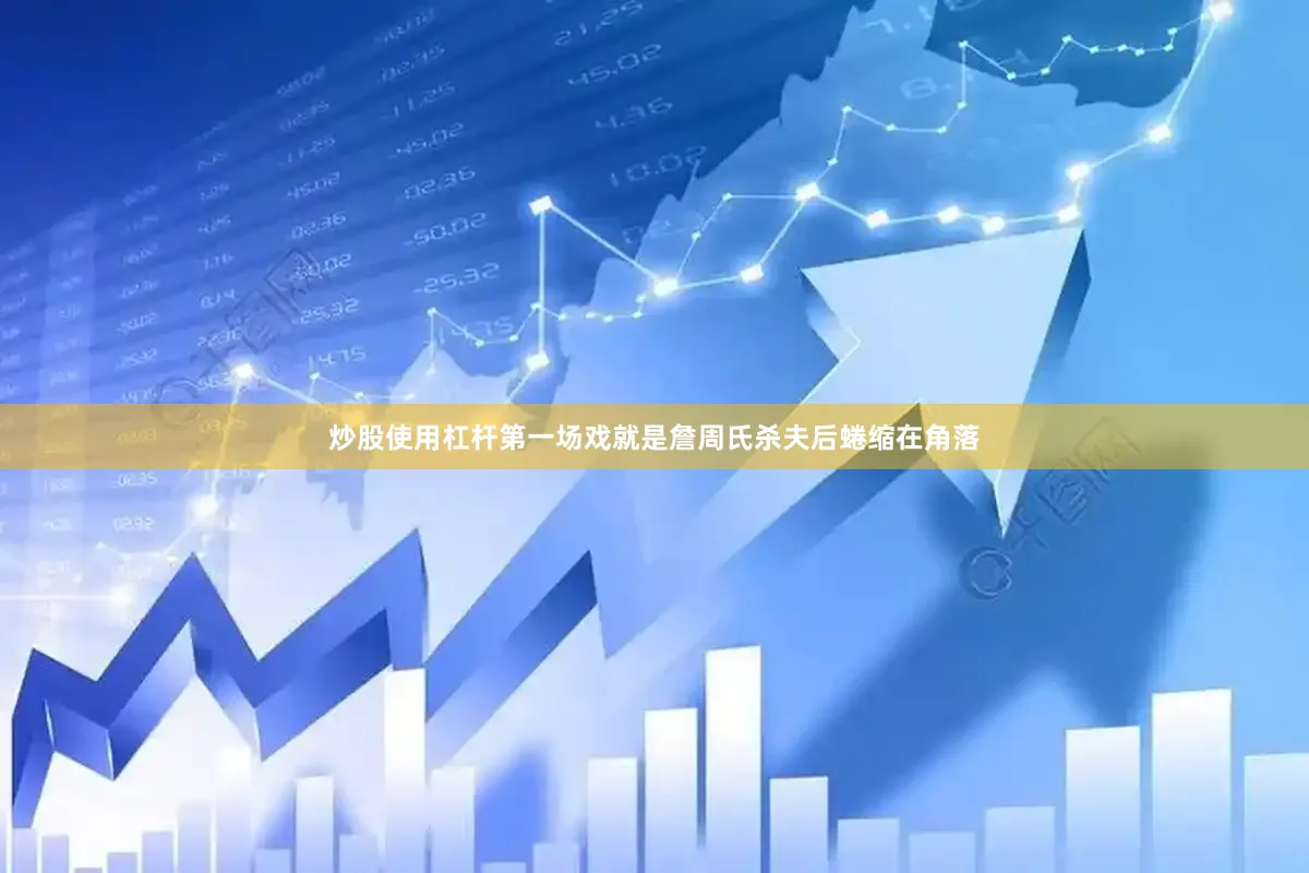 炒股使用杠杆第一场戏就是詹周氏杀夫后蜷缩在角落