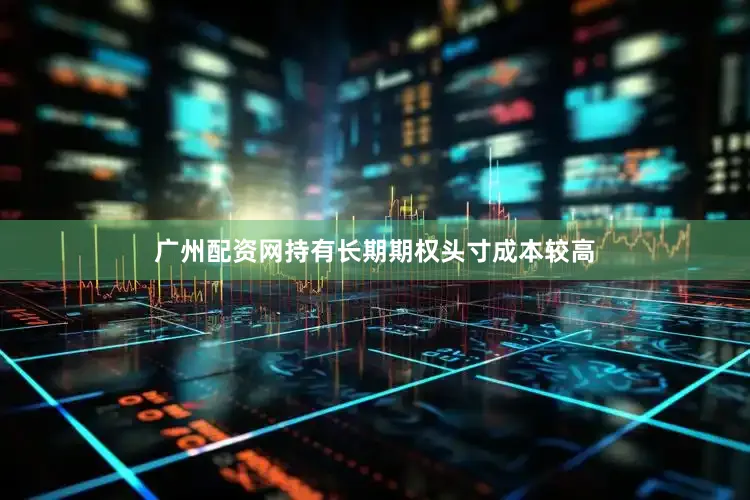 广州配资网持有长期期权头寸成本较高