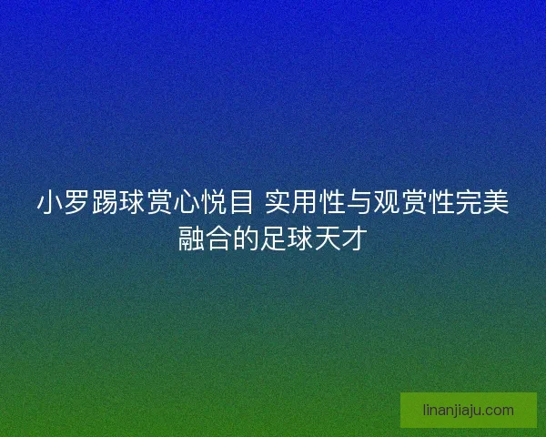 小罗踢球赏心悦目 实用性与观赏性完美融合的足球天才 小罗踢球赏心悦目 实用性与观赏性完美融合的足球天才