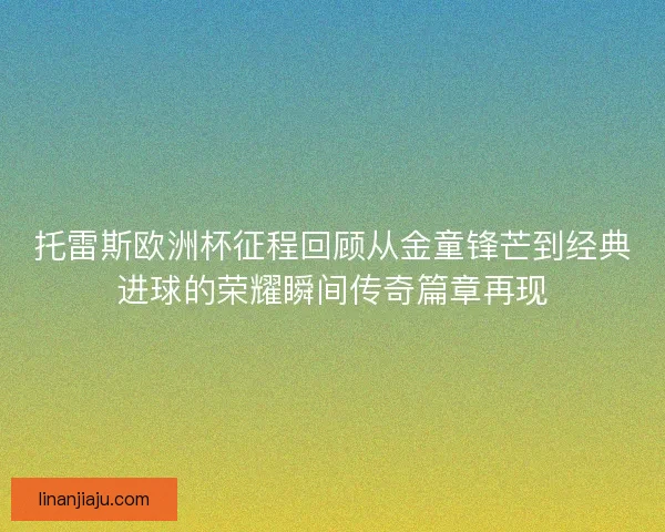 托雷斯欧洲杯征程回顾从金童锋芒到经典进球的荣耀瞬间传奇篇章再现