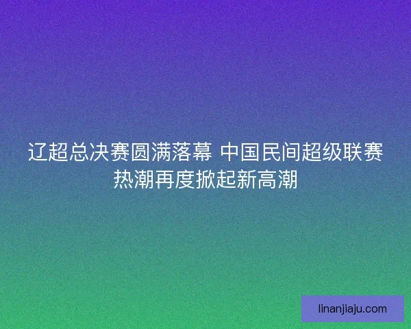 辽超总决赛圆满落幕 中国民间超级联赛热潮再度掀起新高潮 辽超总决赛圆满落幕 中国民间超级联赛热潮再度掀起新高潮