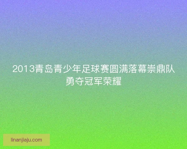 2013青岛青少年足球赛圆满落幕崇鼎队勇夺冠军荣耀