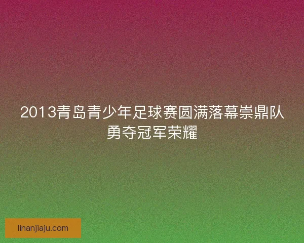 2013青岛青少年足球赛圆满落幕崇鼎队勇夺冠军荣耀