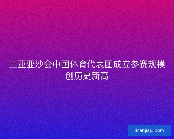 三亚亚沙会中国体育代表团成立参赛规模创历史新高 三亚亚沙会中国体育代表团成立参赛规模创历史新高
